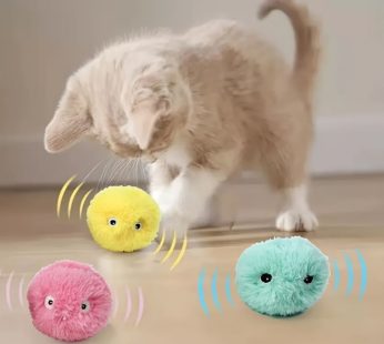 Interactive Cat Plush Toy Ball – Fun Training Toy With Squeaky Sound For Pets