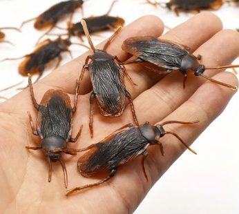 5pcs, Funny Toy Fake Cockroach, Novelty Roaches Bugs Realistic Insects Toy Prank Simulation Tricky Disgusting Scary Spoof Toy, Party Gifts, Holiday Gifts, Halloween Party Supplies